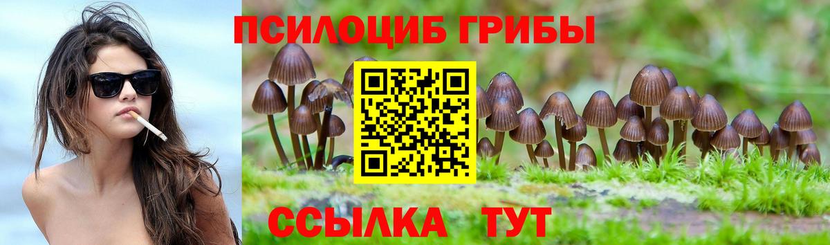 Нововоронеж  Псилоцибиновые грибы мухоморы  Вход с VPN 